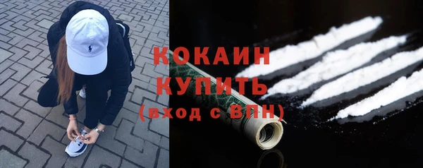 тгк Абаза
